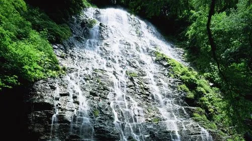 高性能精密